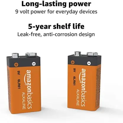 Amazon Alkaline Batteries Info image