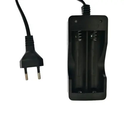 2 slot battery charger EU plug